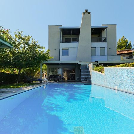 Deluxe Chrousso Pool Villa Paliouri Dış mekan fotoğraf