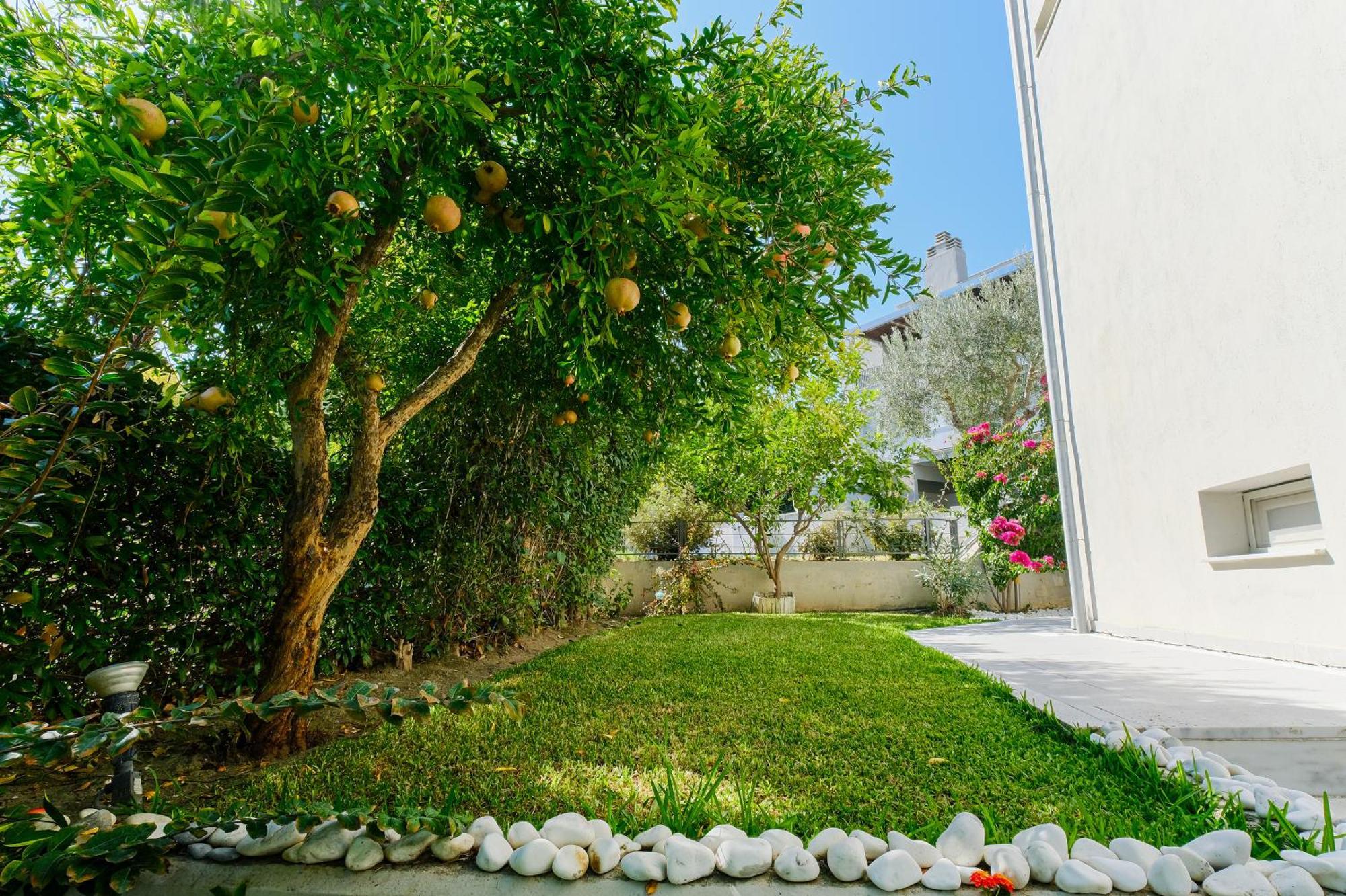 Deluxe Chrousso Pool Villa Paliouri Dış mekan fotoğraf