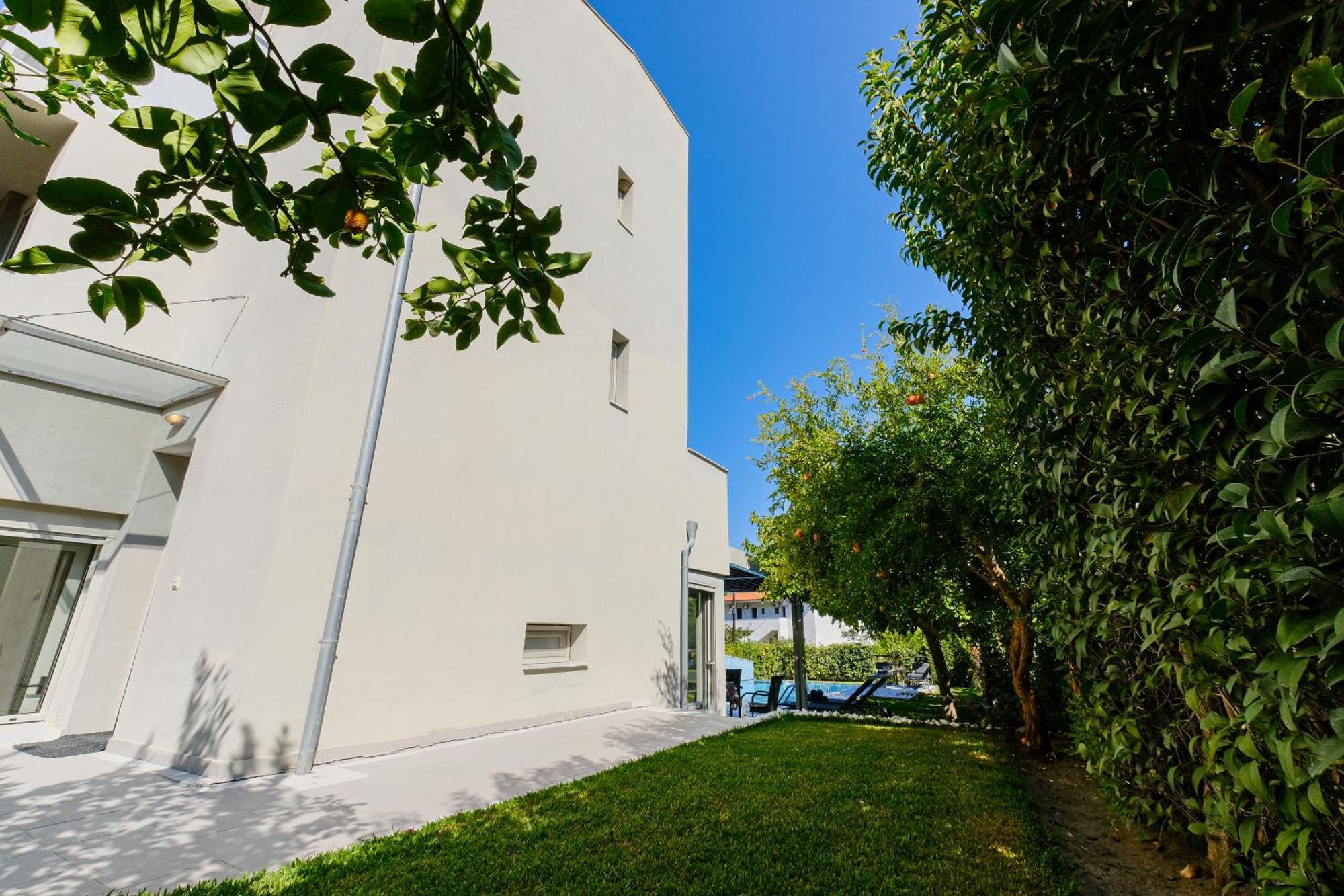 Deluxe Chrousso Pool Villa Paliouri Dış mekan fotoğraf