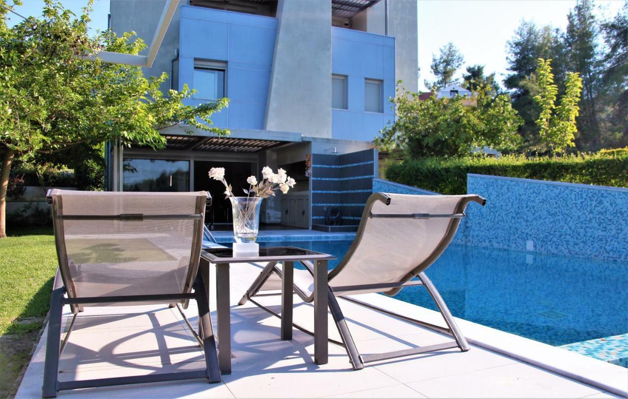 Deluxe Chrousso Pool Villa Paliouri Dış mekan fotoğraf